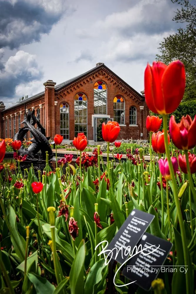 LoRes_WM_20180504_Missouri_Botanical_Edit-0044.jpg