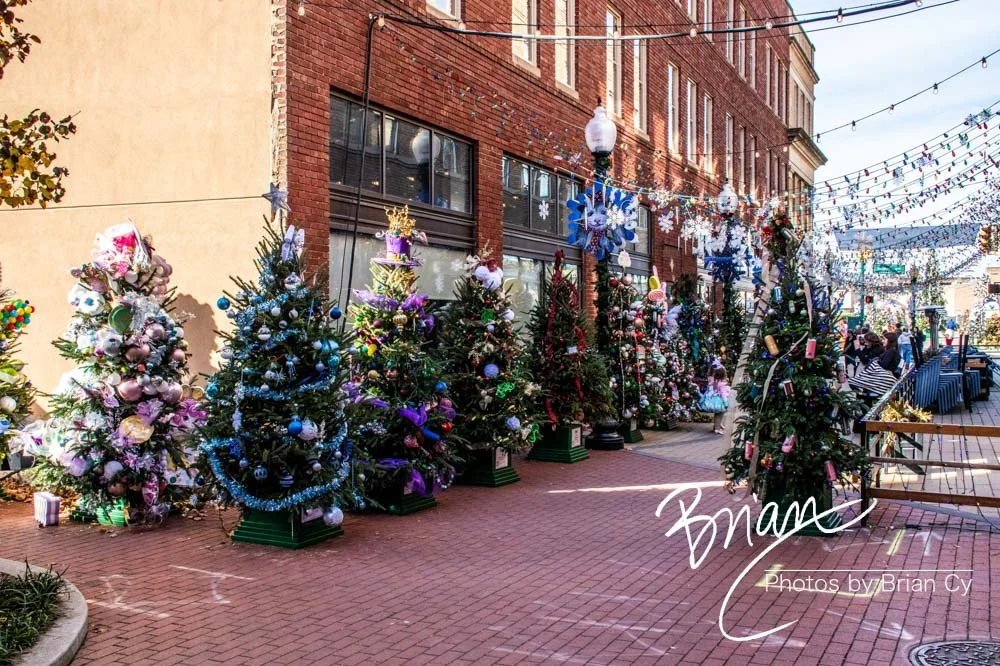 LoRes_WM_20241214_Charleston_Edit-5334.jpg