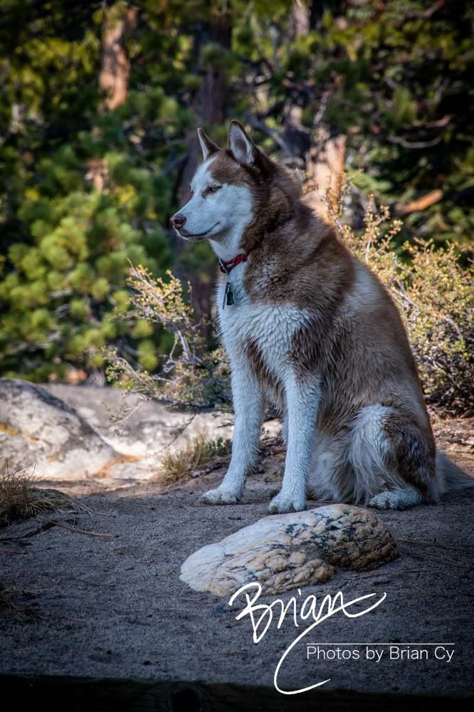 LoRes_WM_20191012_Tahoe_Edit-6620.jpg
