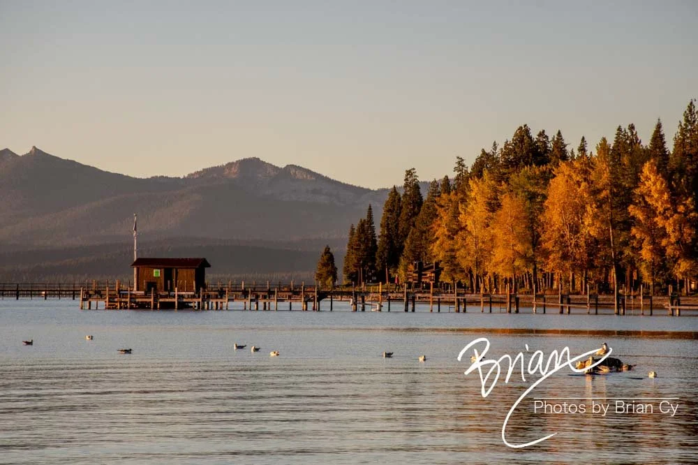 LoRes_WM_20201014_Tahoe_Edit-9736.jpg