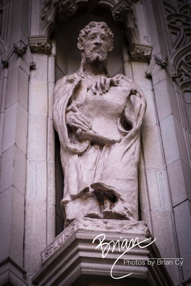 LoRes_WM_20090321_Orlando_Edit-0317.jpg