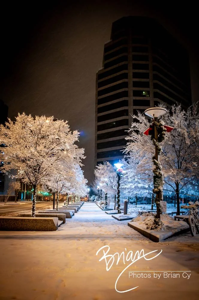 LoRes_WM_20101225_Greensboro_Edit-9320.jpg