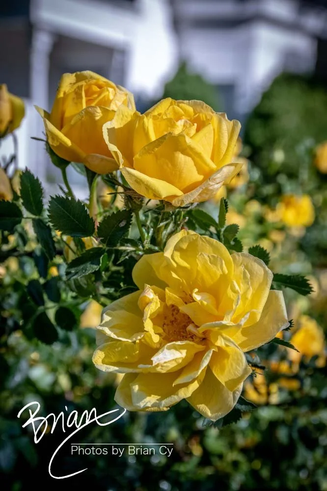 LoRes_WM_20200521_CarsonCity_Edit-2928.jpg