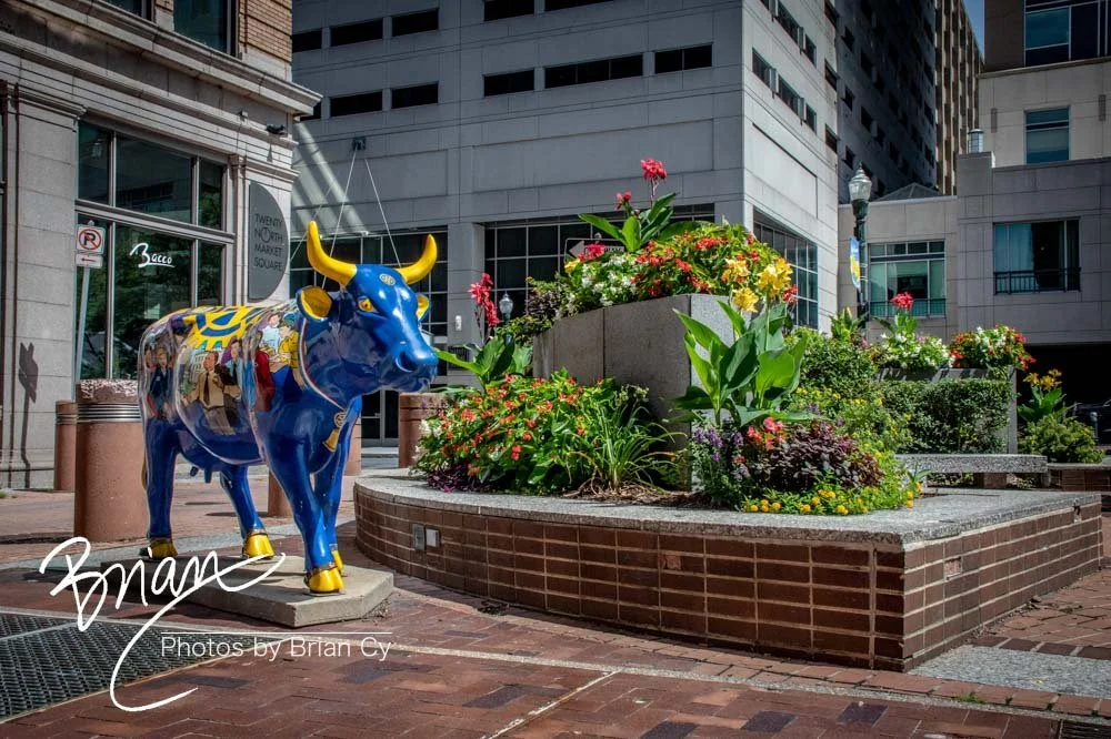 LoRes_WM_20220731_Harrisburg_Edit-5183.jpg