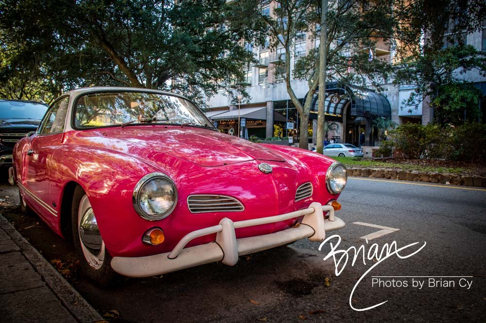 LoRes_WM_20191028_Savannah_Edit-1789.jpg