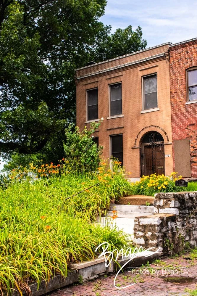 LoRes_WM_20240526_StLouis_Edit-8010.jpg