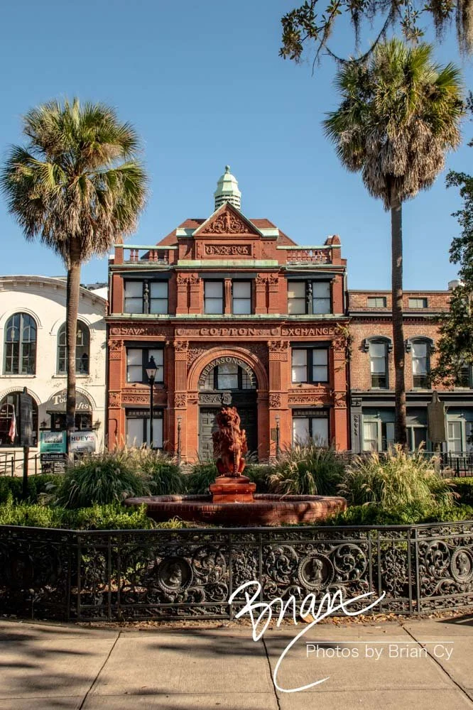 LoRes_WM_20191028_Savannah_Edit-0745.jpg
