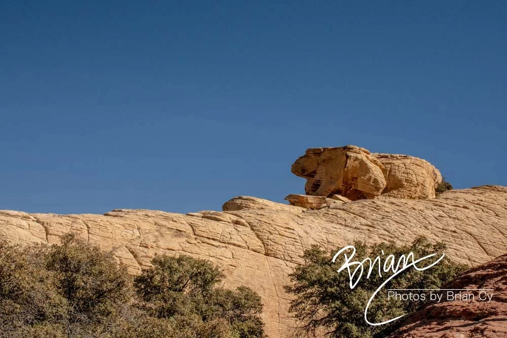 LoRes_WM_20191113_RedRockCanyon_Edit-8975.jpg