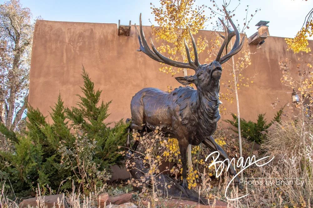 LoRes_WM_20191108_SantaFe_Edit-2428.jpg