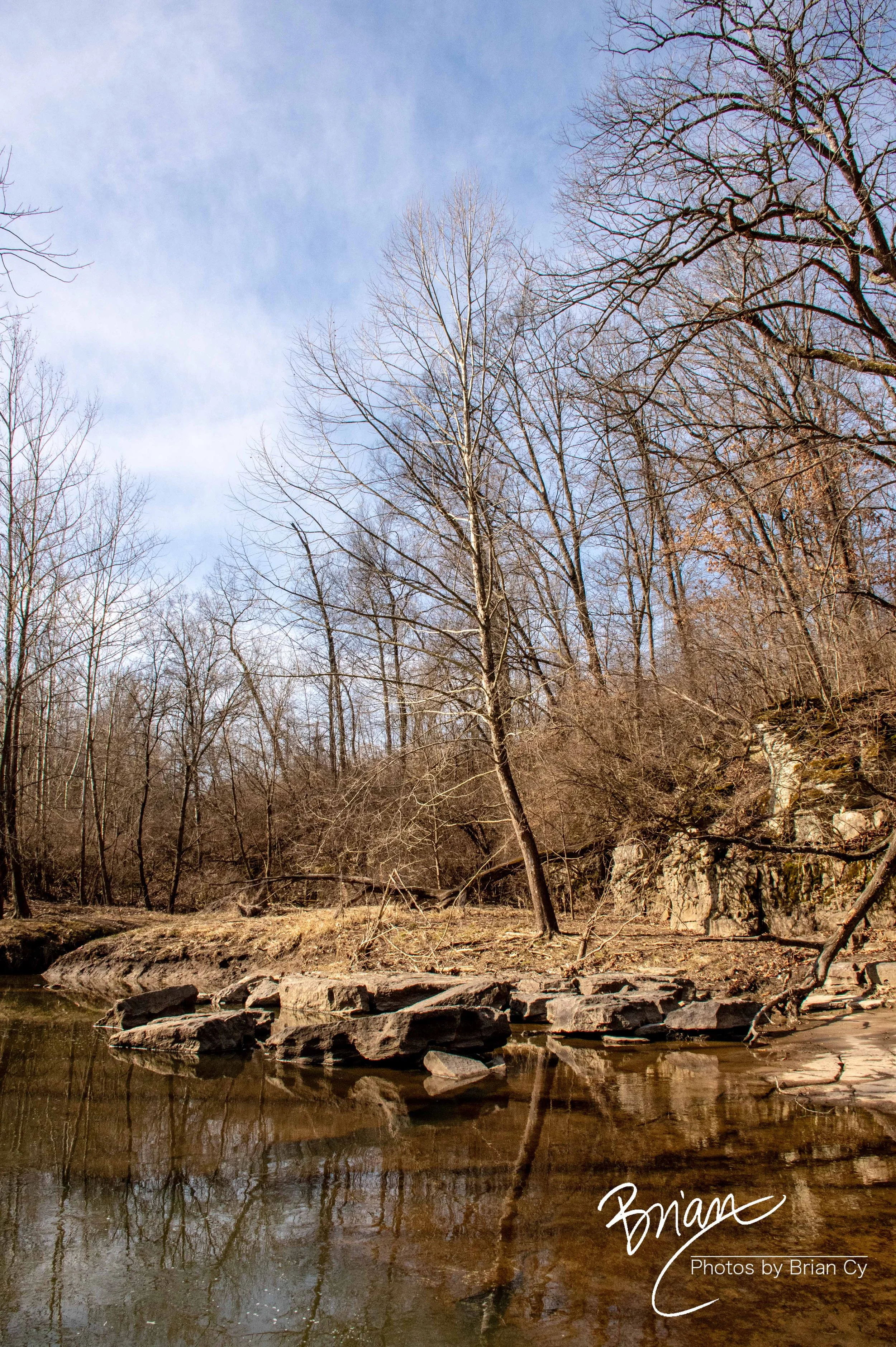 LoRes_WM_20250308_StLouis_Edit-0417.jpg