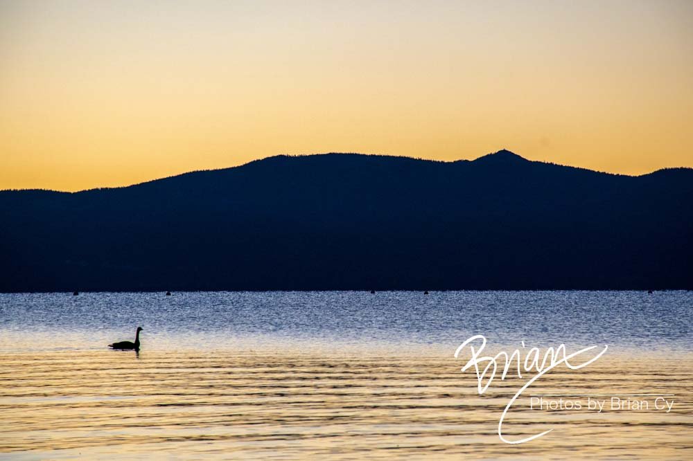 LoRes_WM_20201014_Tahoe_Edit-9355.jpg