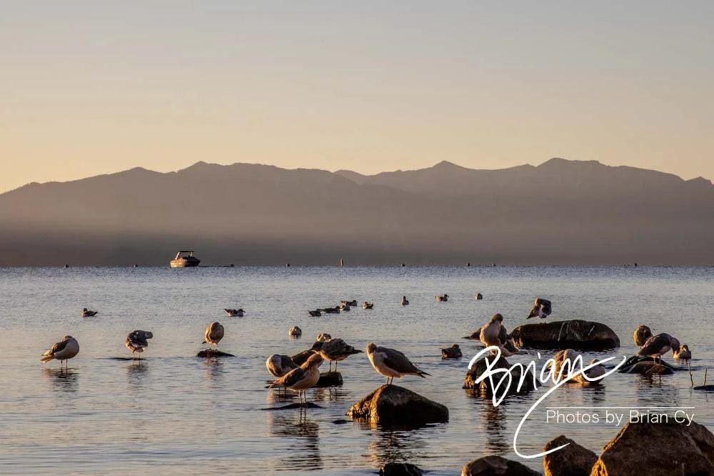 LoRes_WM_20201014_Tahoe_Edit-9781.jpg