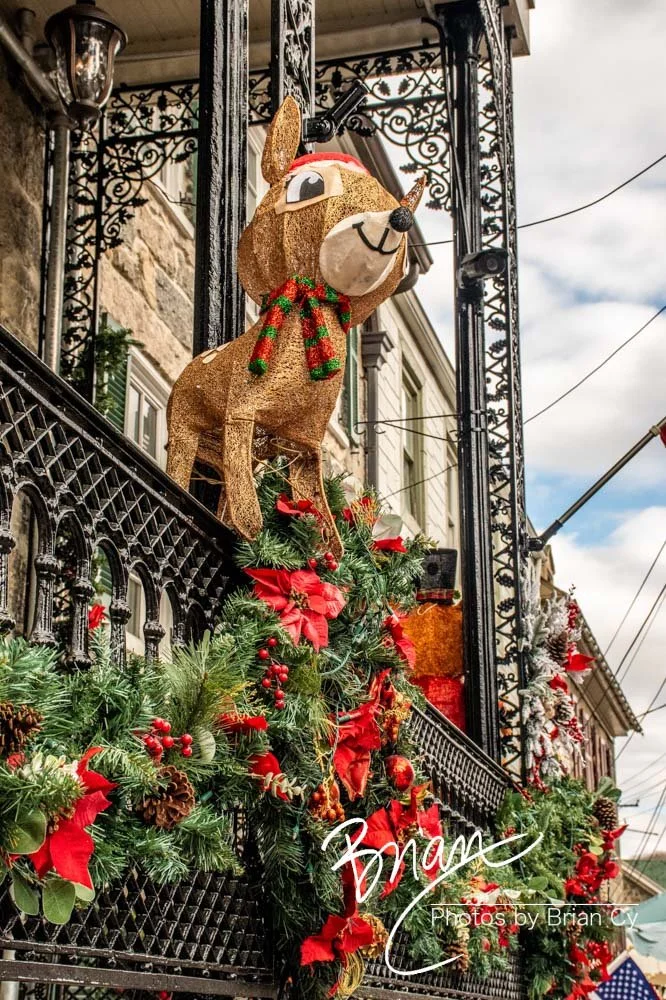 LoRes_WM_20221217_EllicottCity_Edit-8580.jpg