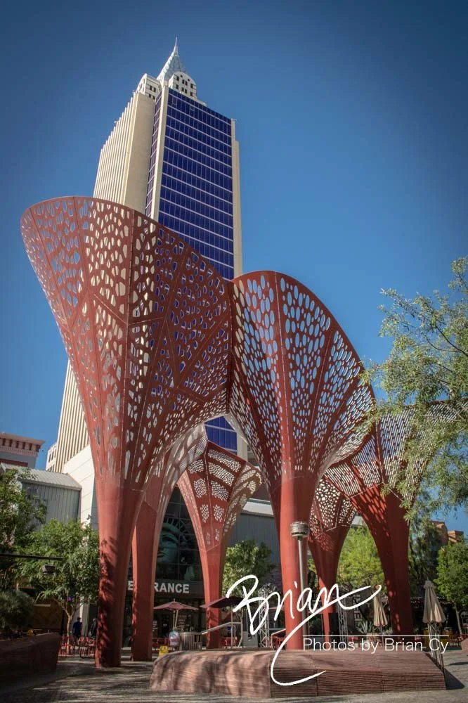 LoRes_WM_20190426_LasVegas_Edit-1369.jpg