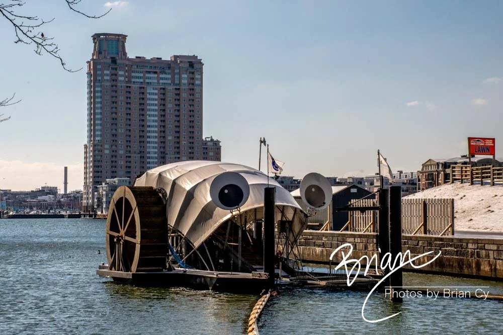 LoRes_WM_20210220_Baltimore_Edit-4297.jpg