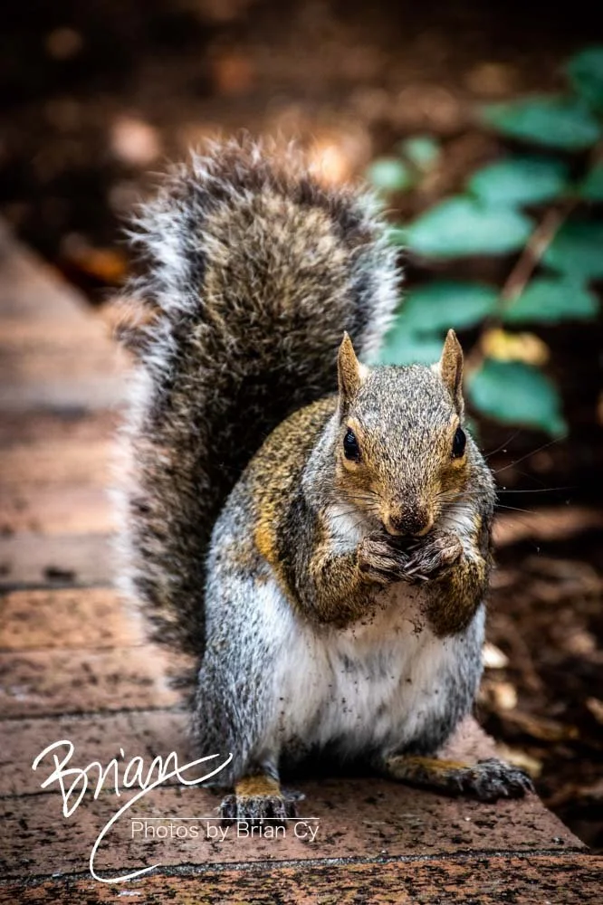 LoRes_WM_20191029_Wilmington_Edit-2766.jpg