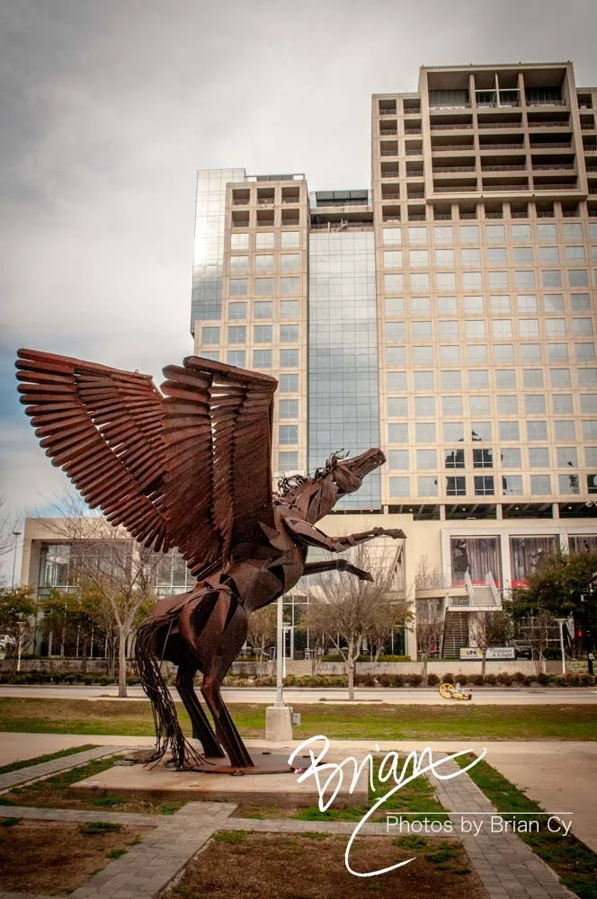 LoRes_WM_20180302_Dallas_Edit-7482.jpg