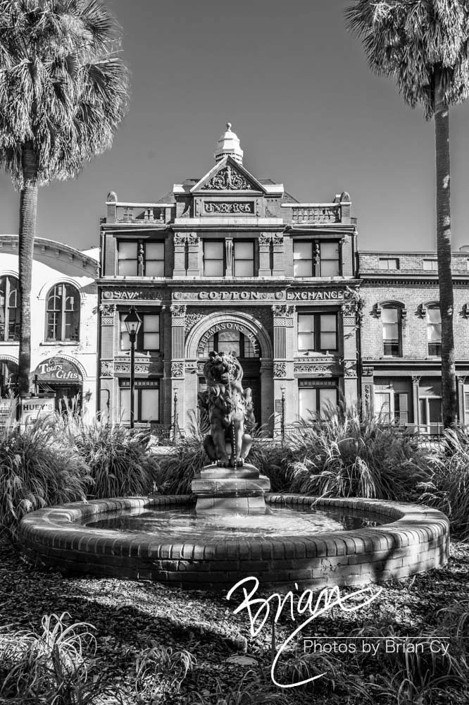 LoRes_WM_20191028_Savannah_Edit-0752.jpg