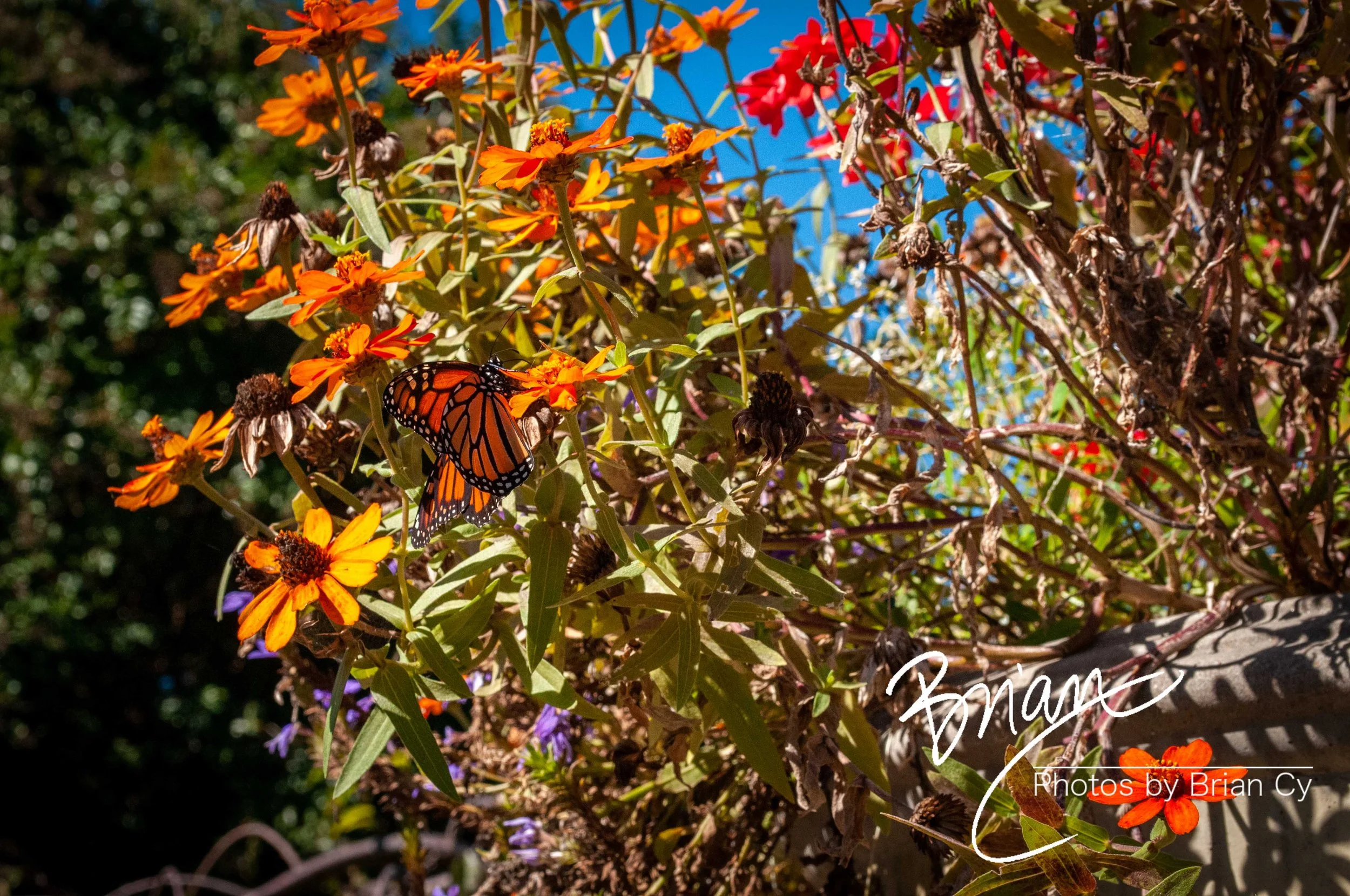 LoRes_WM_20141019_Nashville_Edit-7190.jpg