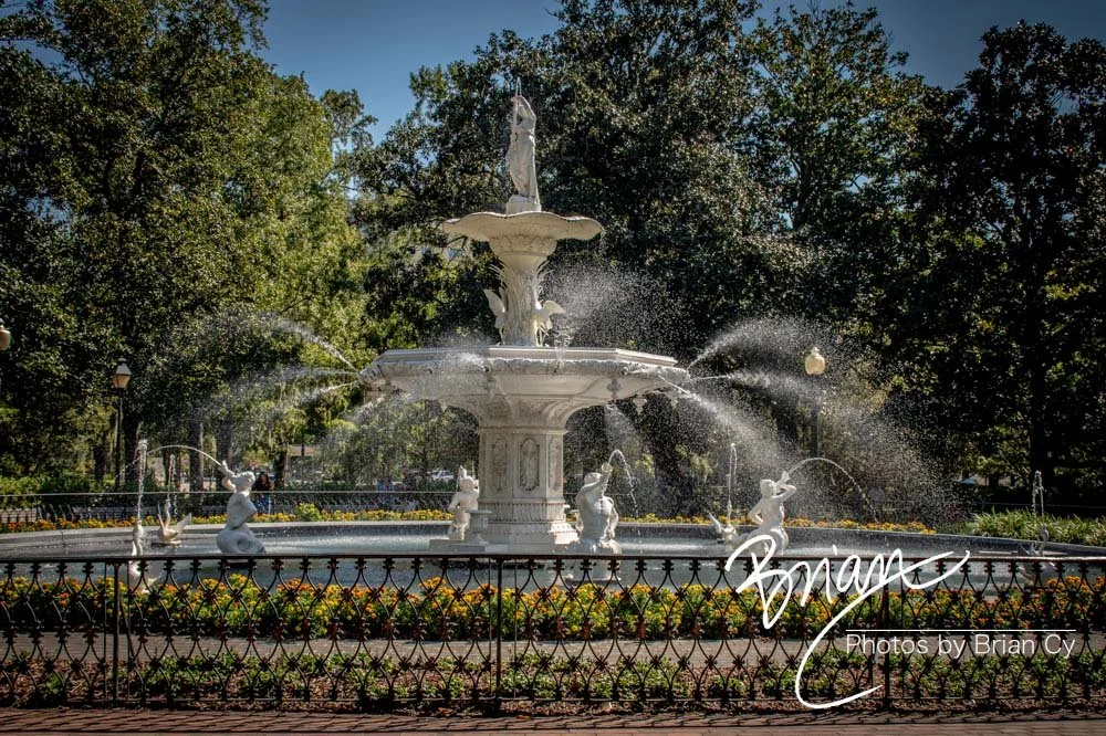 LoRes_WM_20191028_Savannah_Edit-1937.jpg