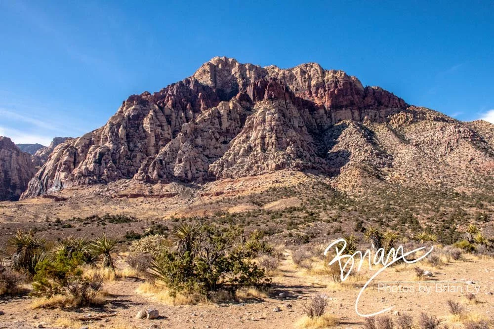 LoRes_WM_20191113_RedRockCanyon_Edit-9296.jpg