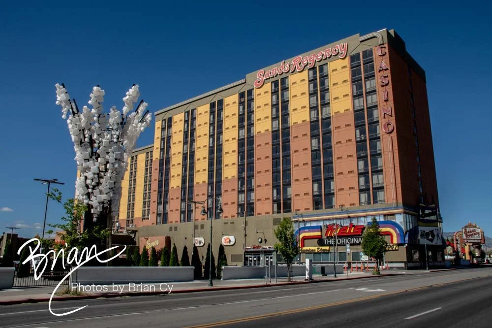 LoRes_WM_20200617_Reno_Edit-5531.jpg