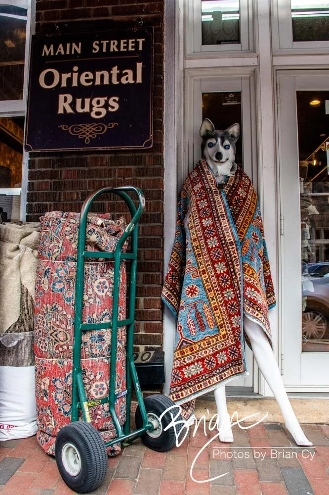 LoRes_WM_20221217_EllicottCity_Edit-8475.jpg