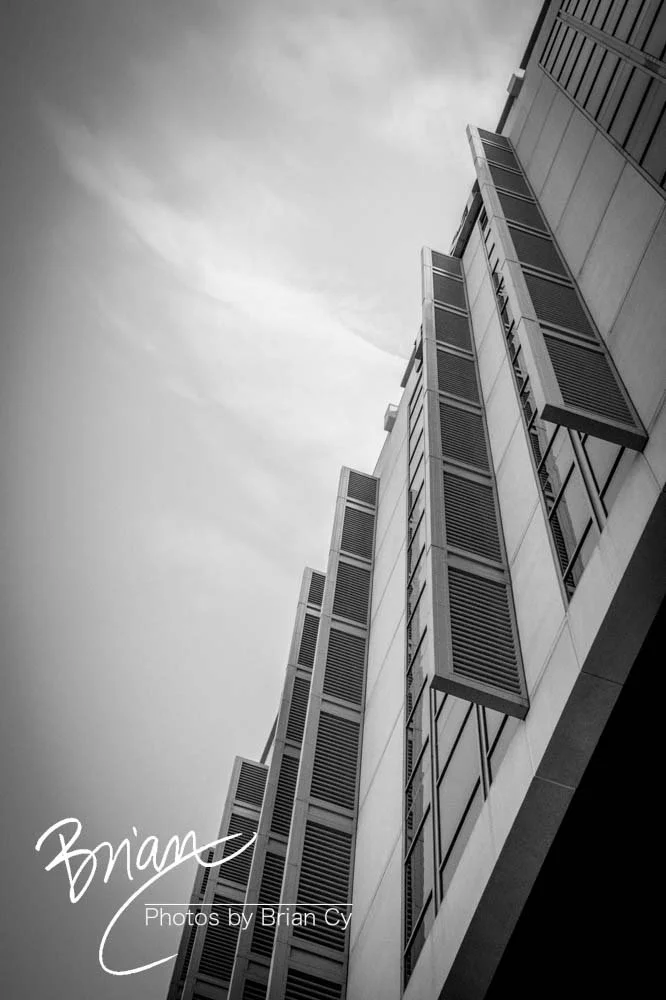 LoRes_WM_20190810_Montgomery_Edit-4490.jpg