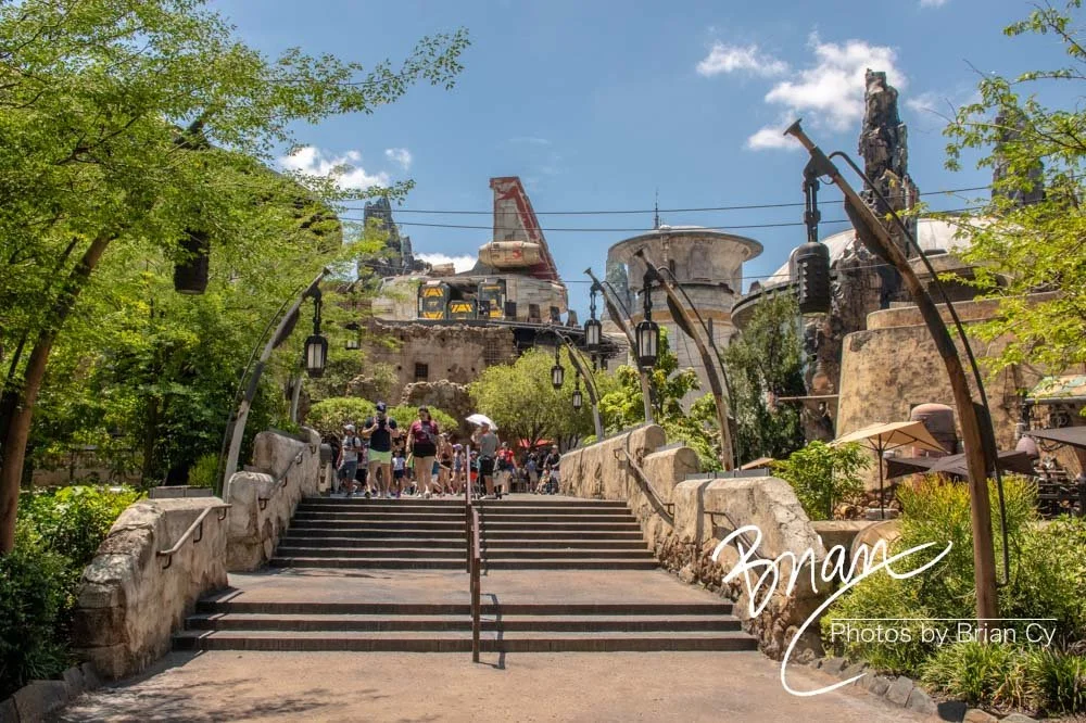 LoRes_WM_20230702_TheFam_Disney_Edit-5529.jpg