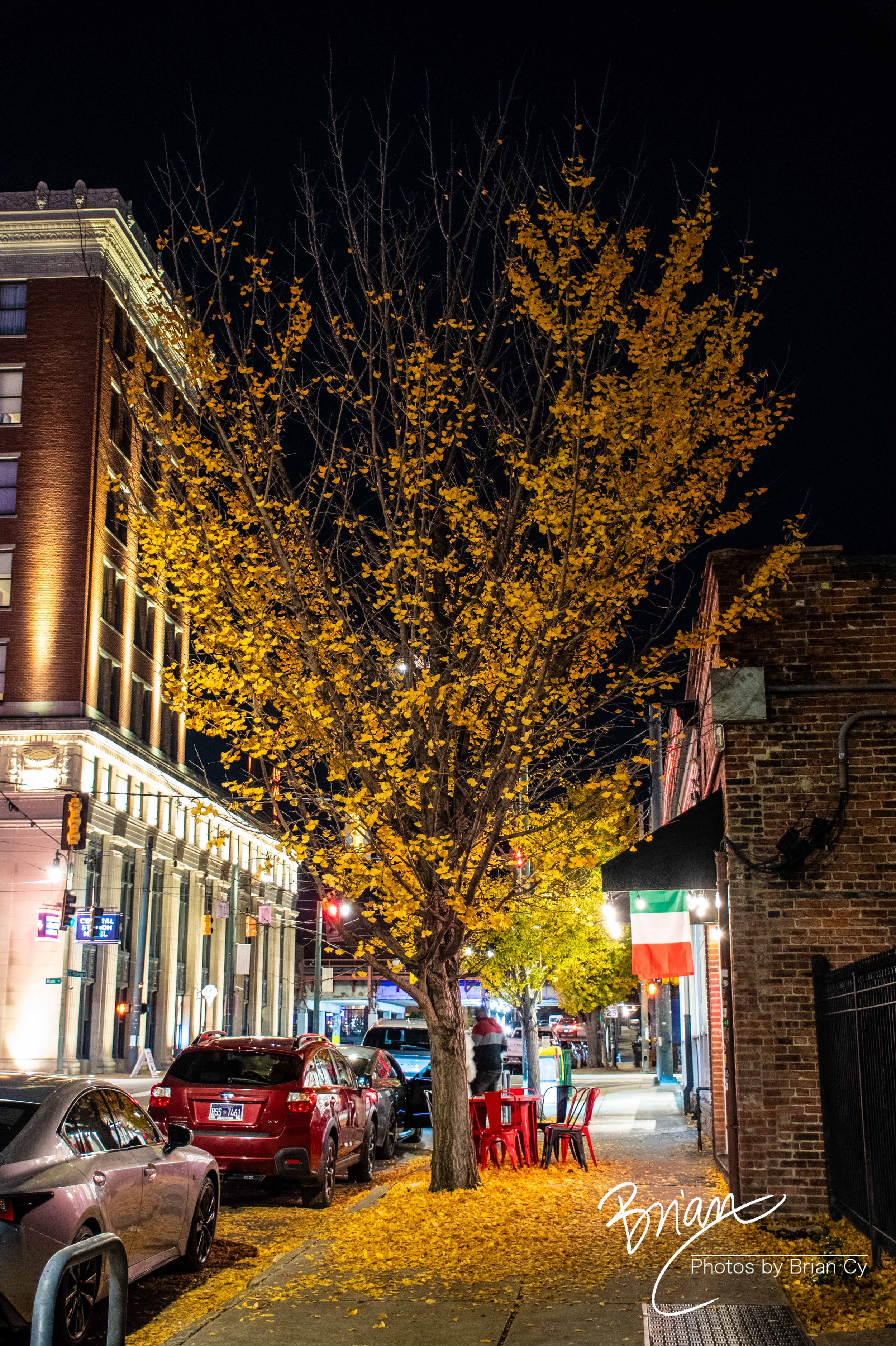 LoRes_WM_20251128_Memphis_Edit-7250.jpg