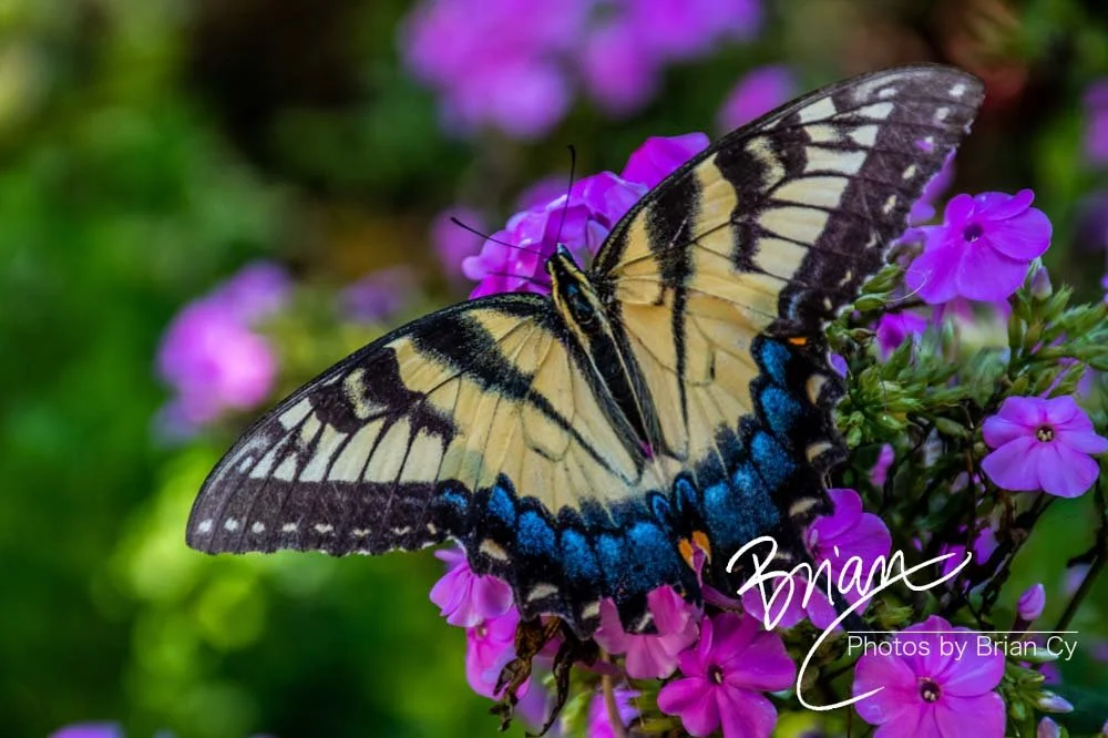 LoRes_WM_20190817_Atlanta_Edit-7383.jpg