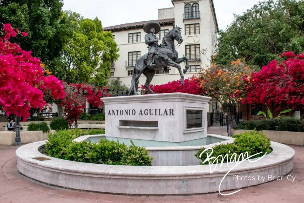 LoRes_WM_20190420_LosAngeles_Edit-1735.jpg