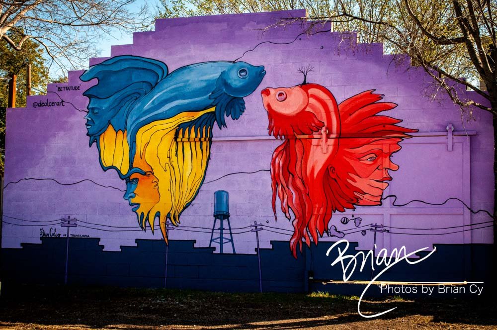 LoRes_WM_20180302_Dallas_Edit-7538.jpg