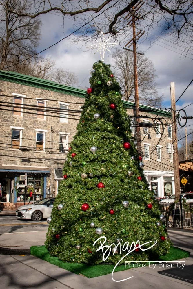 LoRes_WM_20221217_EllicottCity_Edit-8041.jpg
