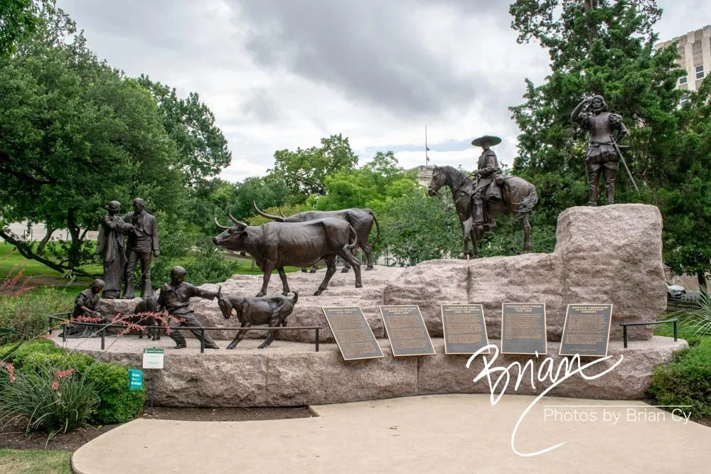 LoRes_WM_20180524_Austin_Edit-0088.jpg