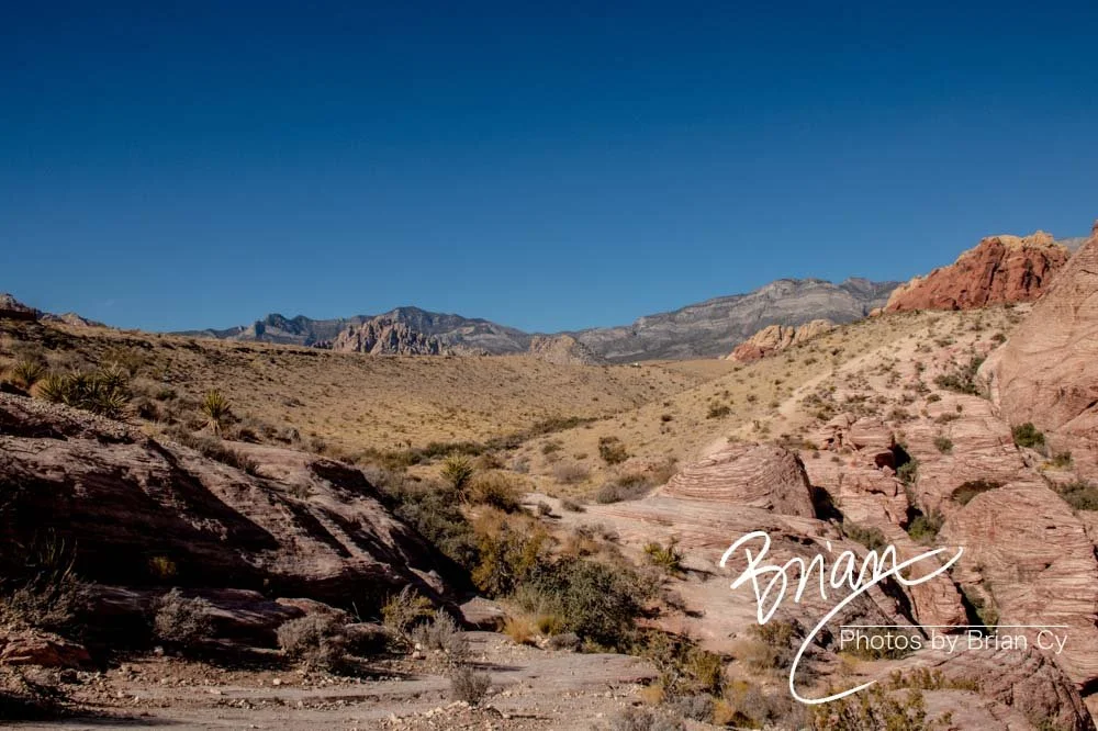 LoRes_WM_20191113_RedRockCanyon_Edit-8718.jpg