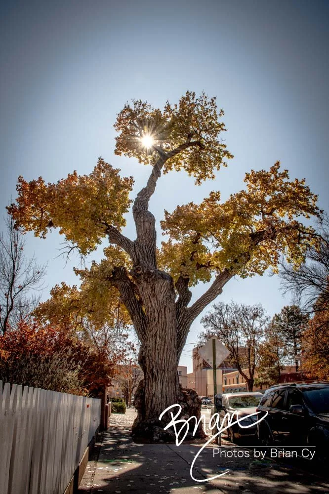 LoRes_WM_20191108_SantaFe_Edit-1940.jpg