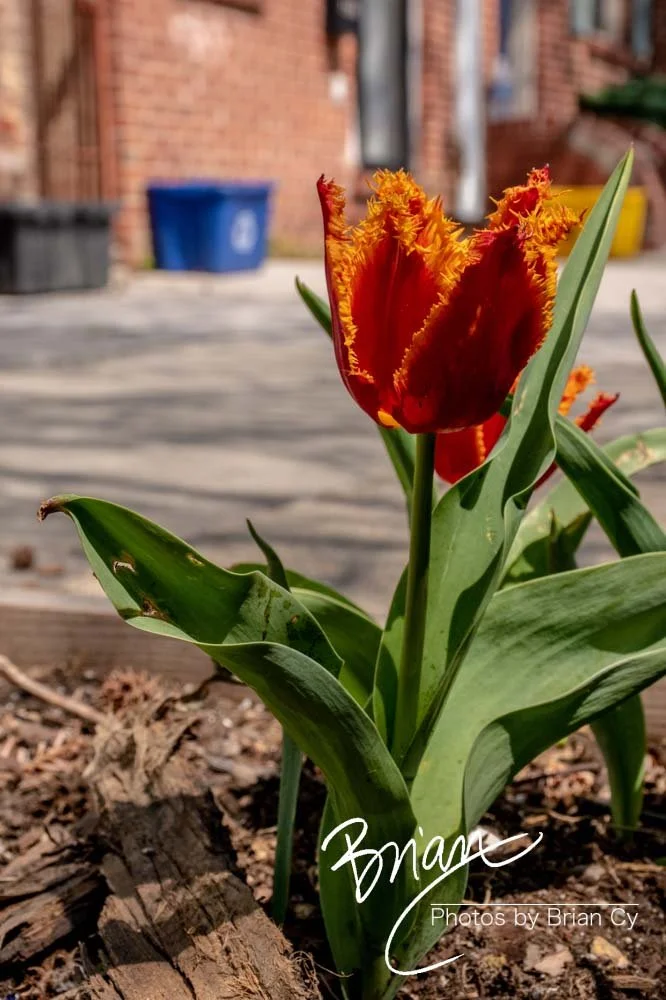 LoRes_WM_20210408_Baltimore_Edit-5859.jpg