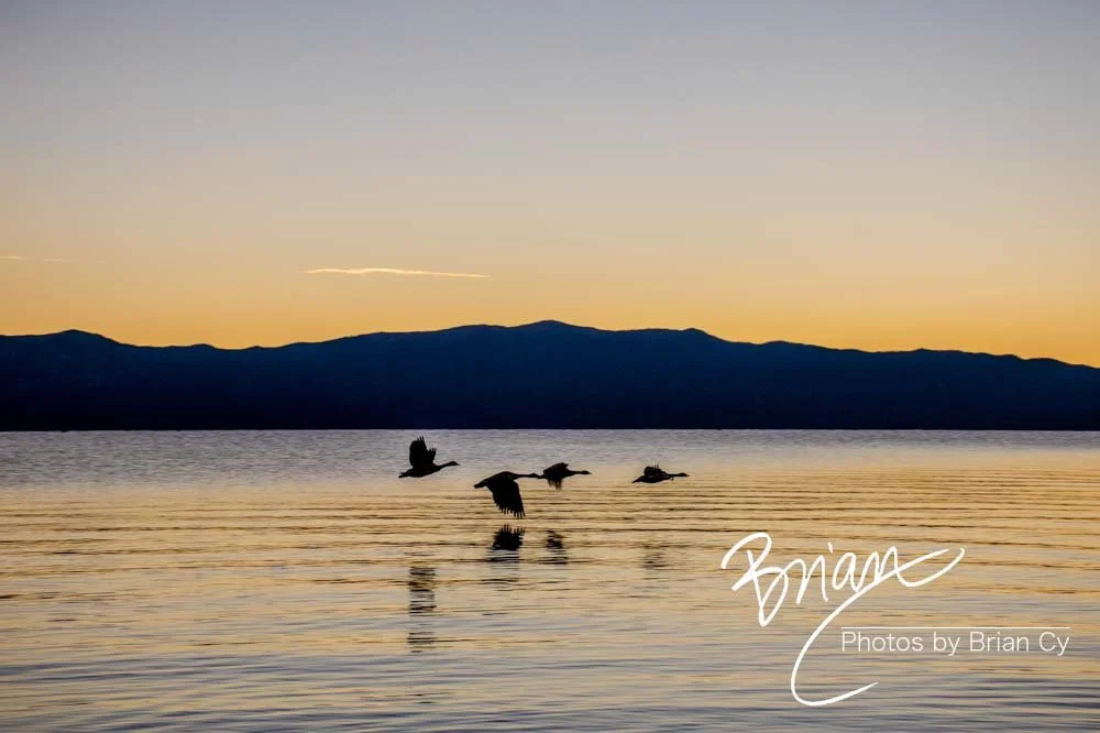 LoRes_WM_20201014_Tahoe_Edit-9388.jpg