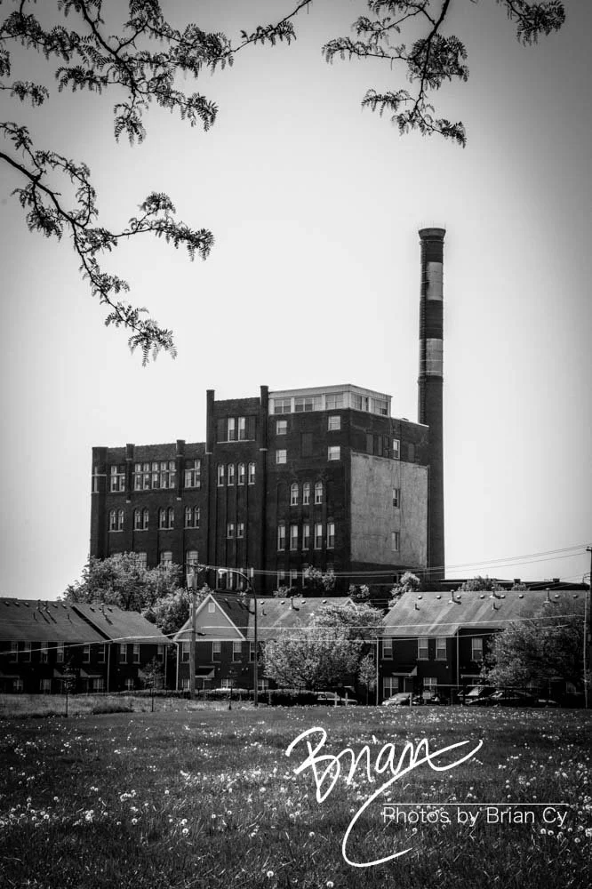 LoRes_WM_20240414_StLouis_Edit-5048.jpg