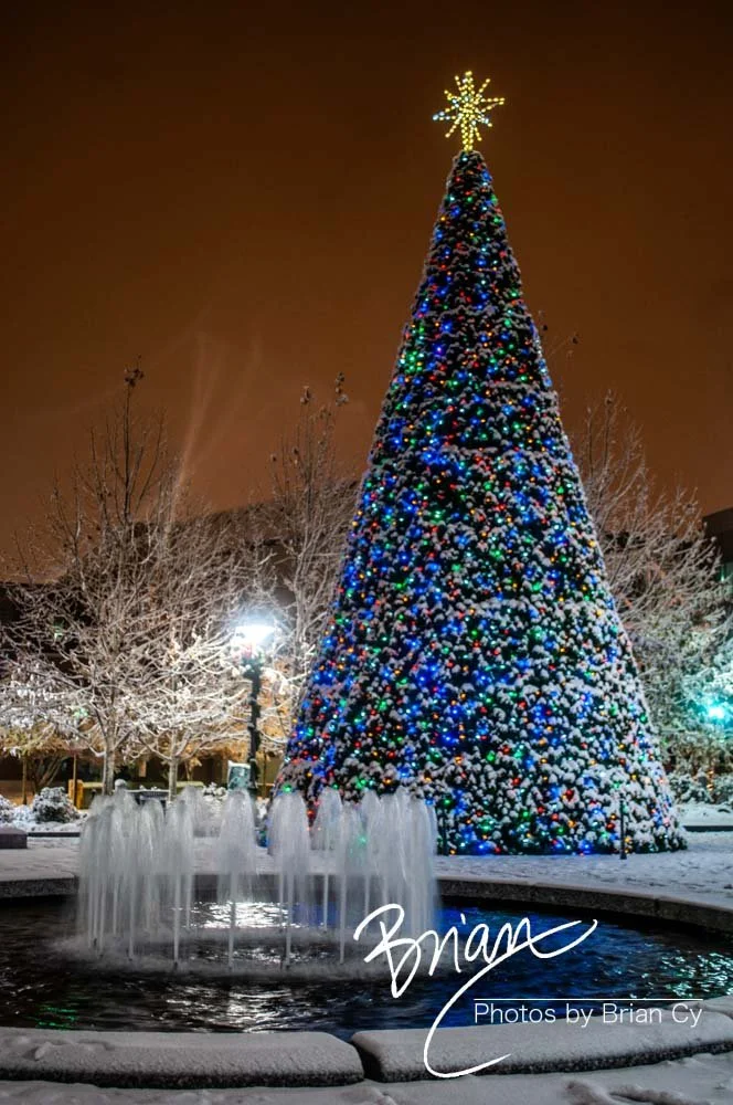 LoRes_WM_20101225_Greensboro_Edit-9354.jpg
