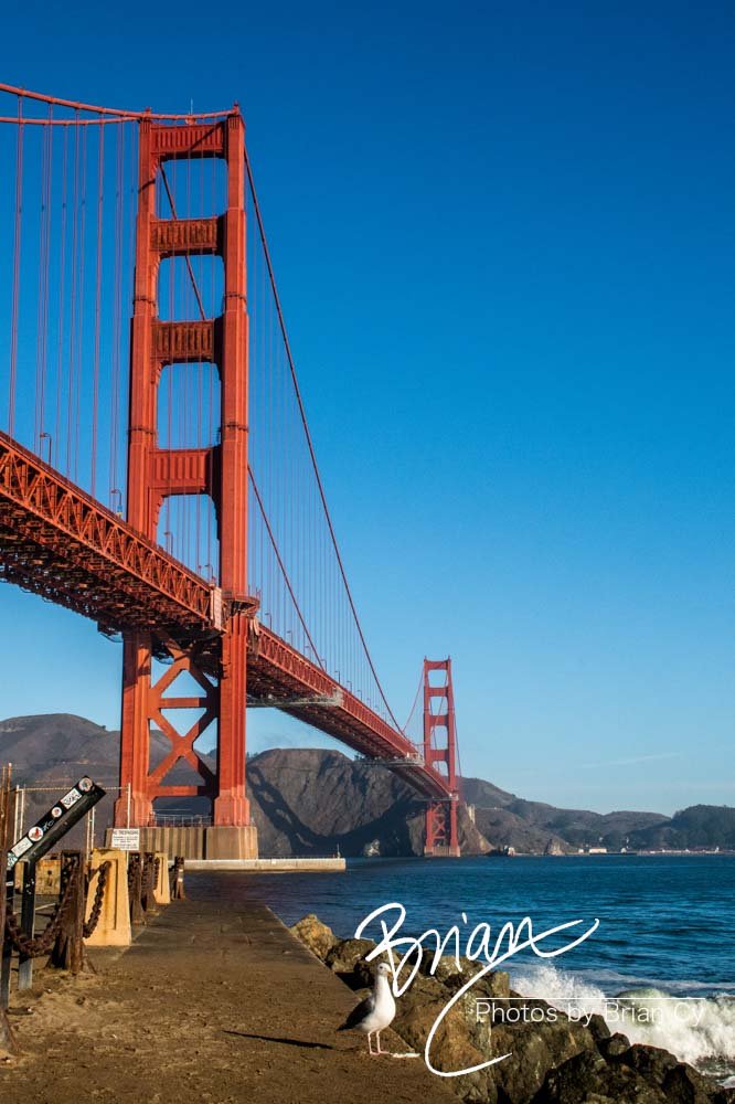 LoRes_WM_20201021_SanFrancisco_Edit-2095.jpg