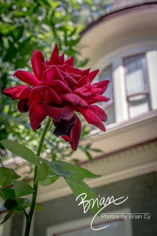 LoRes_WM_20200903_Boise_Edit-8924.jpg