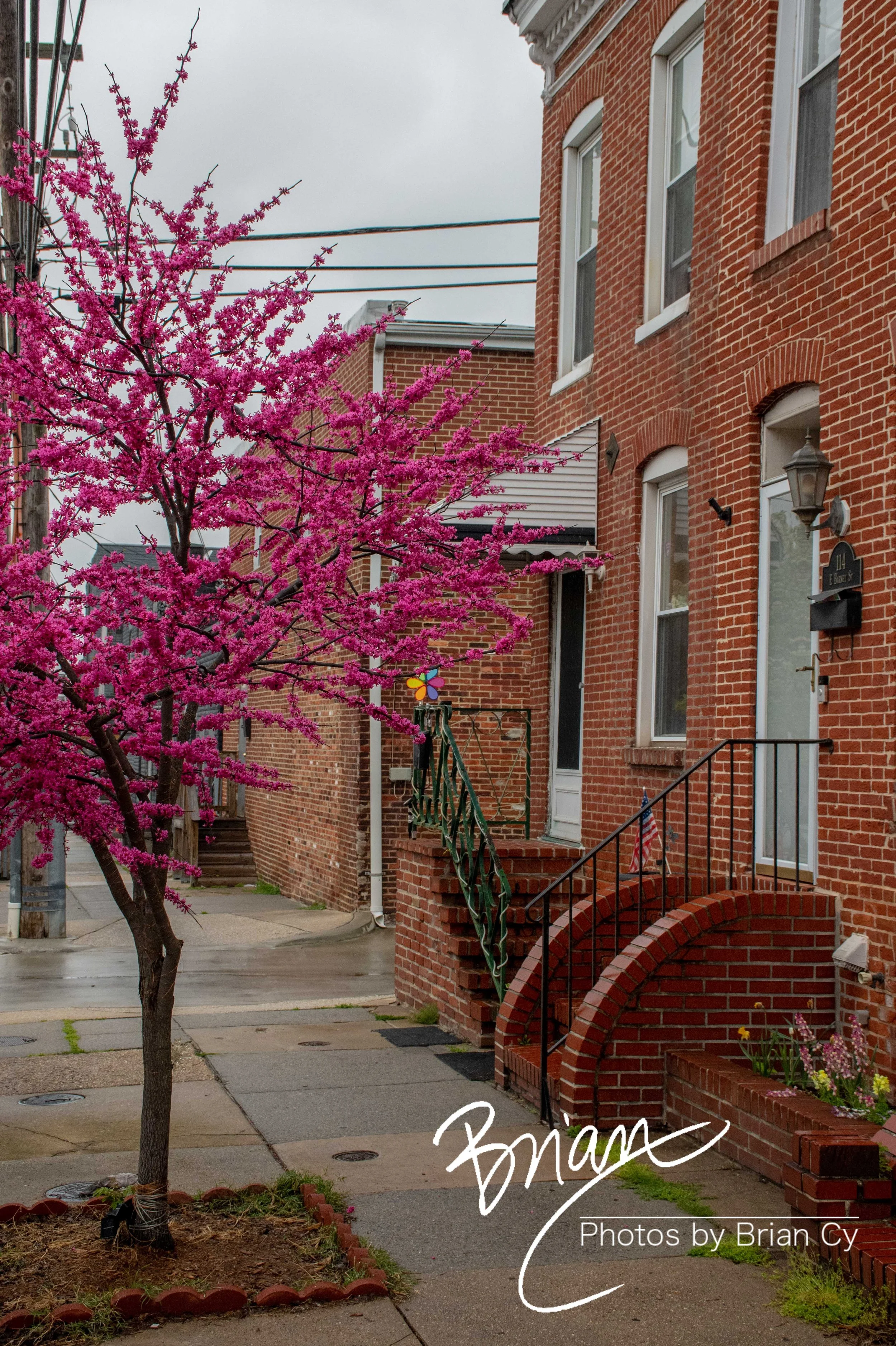 LoRes_WM_20210409_Baltimore_Edit-6838.jpg
