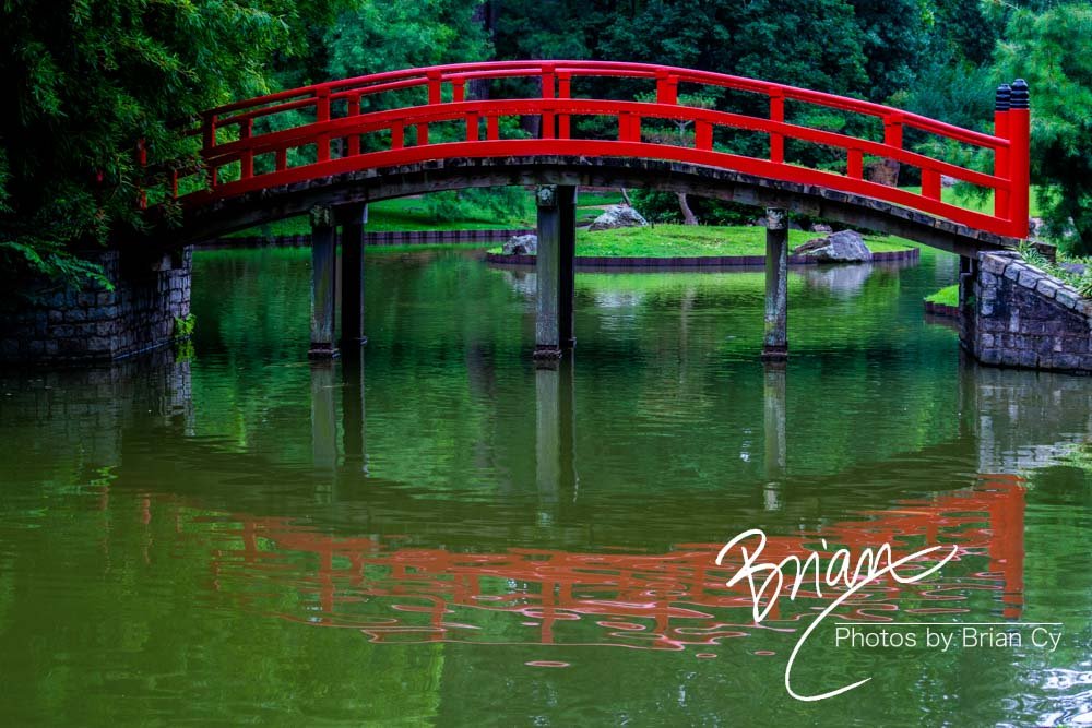 LoRes_WM_20180620_Memphis_Botanical_GardensA_Edit-0221.jpg