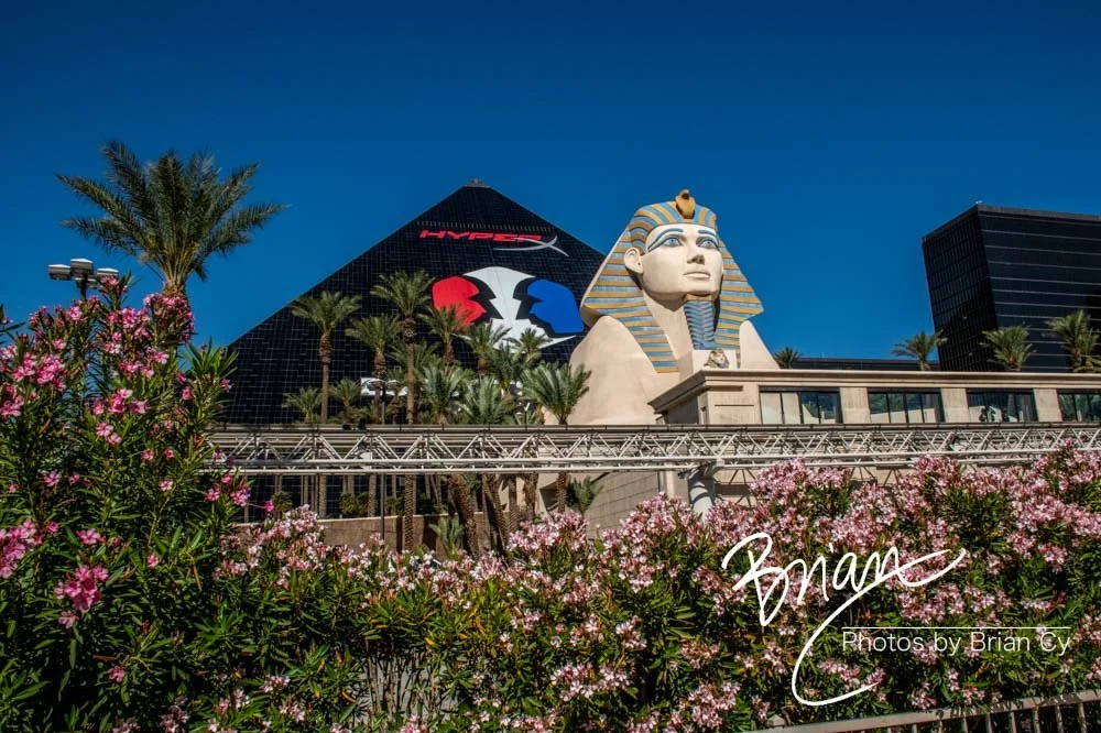 LoRes_WM_20190426_LasVegas_Edit-1735.jpg