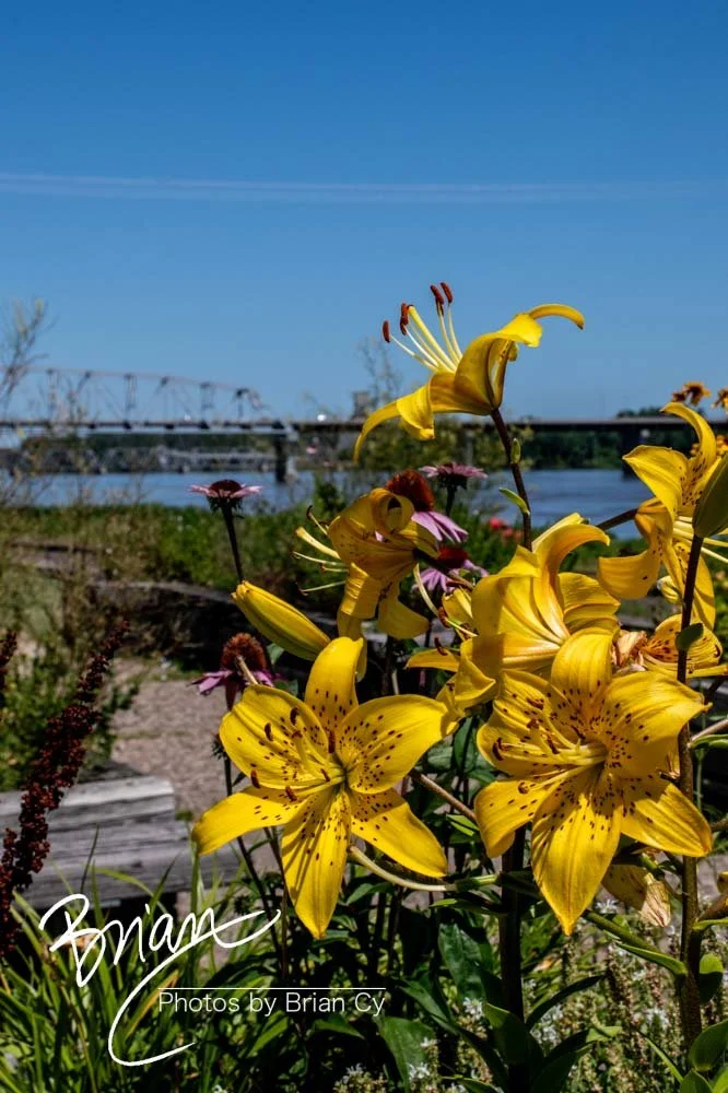 LoRes_WM_20240614_Hannibal_Edit-3680.jpg
