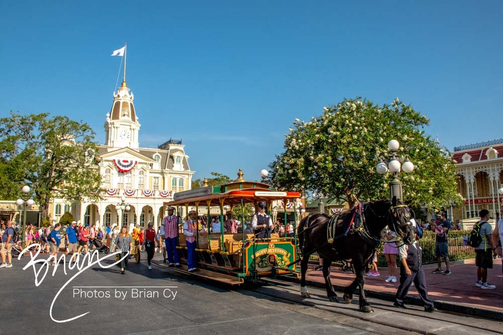 LoRes_WM_20230704_TheFam_Disney_Edit-6266.jpg