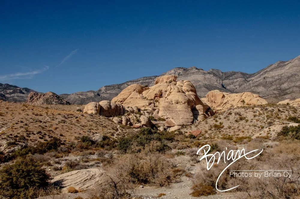 LoRes_WM_20191113_RedRockCanyon_Edit-8851.jpg