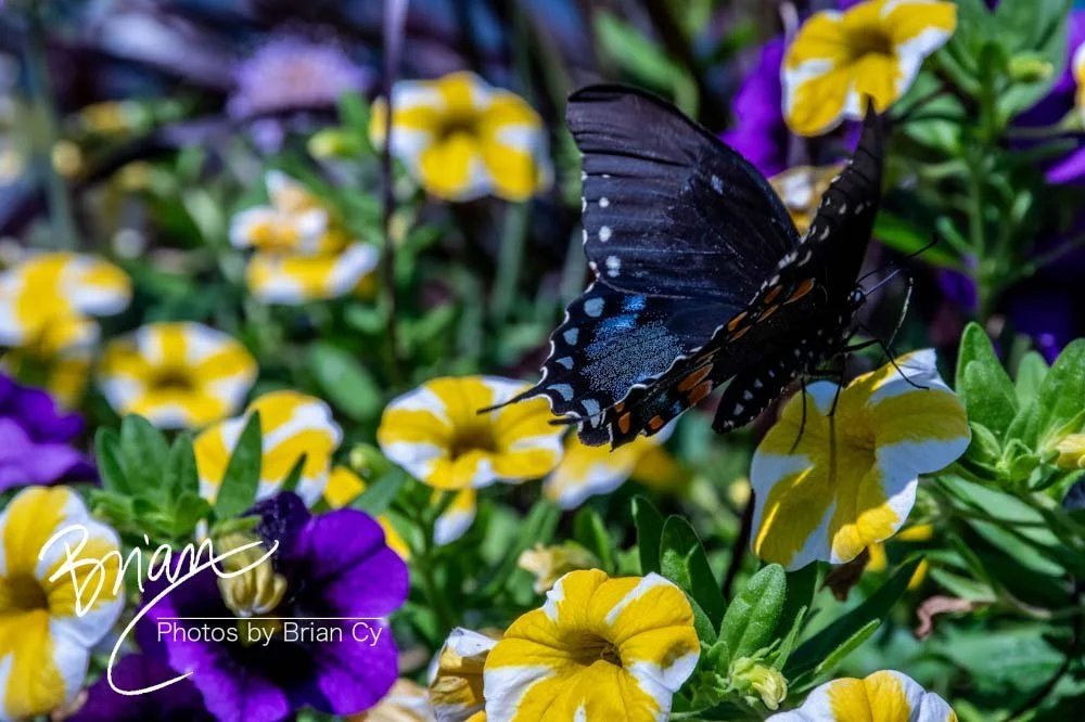 LoRes_WM_20240519_Alton_Edit-5869.jpg
